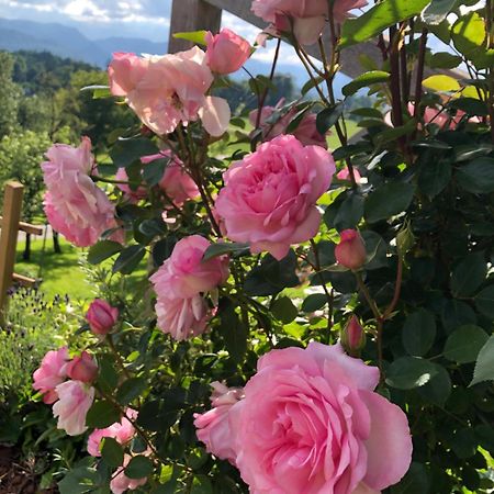 Apartma Rosa Spodnji Otok Bagian luar foto
