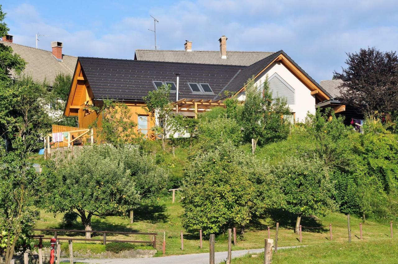Apartma Rosa Spodnji Otok Bagian luar foto