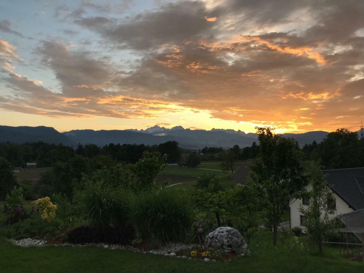 Apartma Rosa Spodnji Otok Bagian luar foto